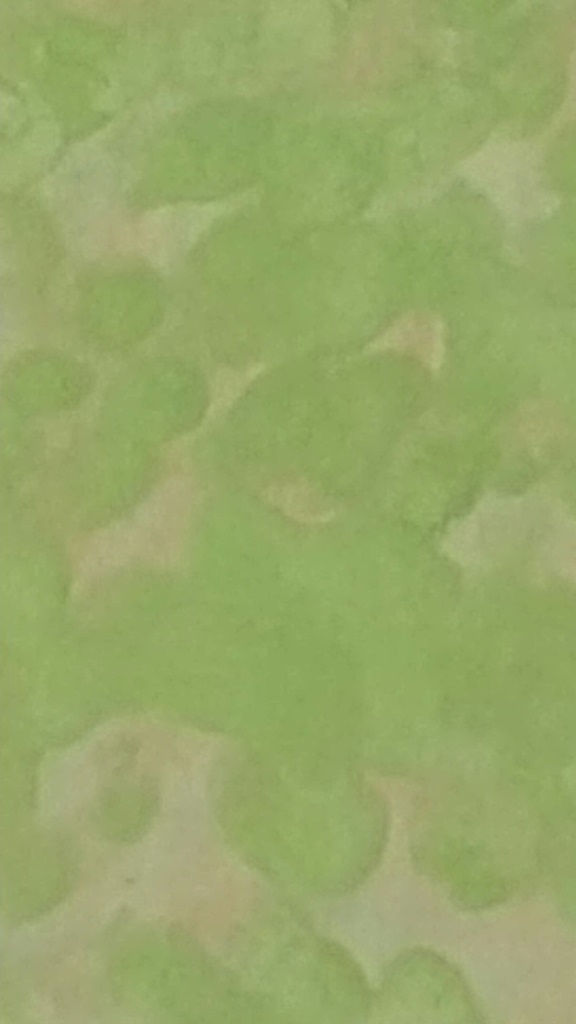 青山かわらばん