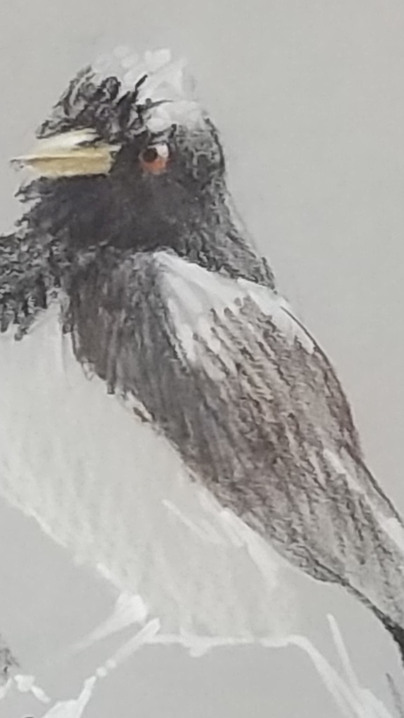 青山かわらばん